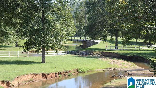 40 Blueberry Cove Springville, AL 35146 - Photo 10 of 19