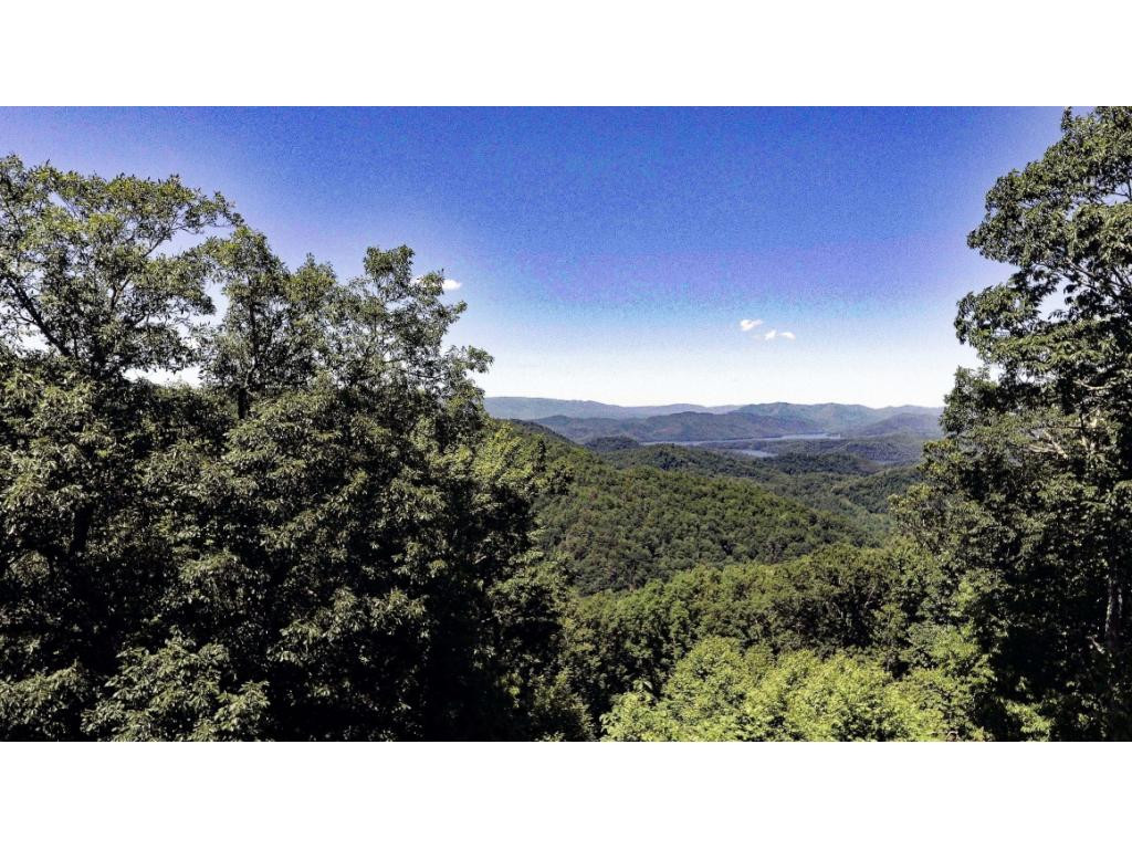 1018 Locust Lane, Unit 43 Butler, TN 37640 - Photo 1 of 10 View Above Trees