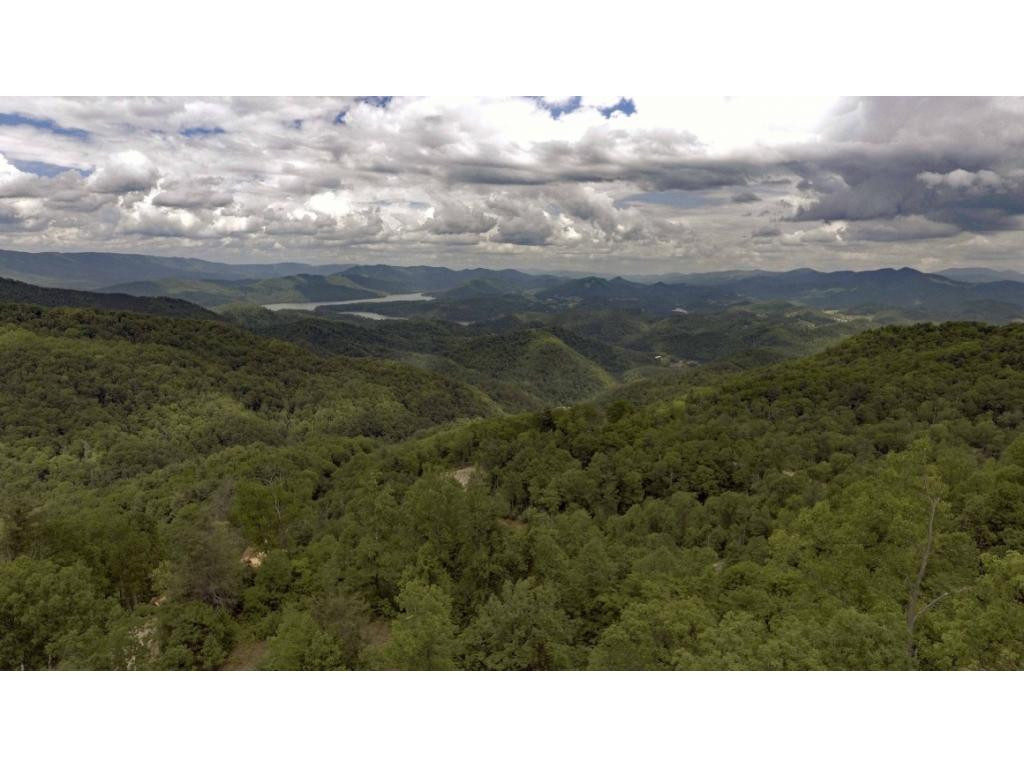 1018 Locust Lane, Unit 43 Butler, TN 37640 - Photo 2 of 10 View From Heartwood