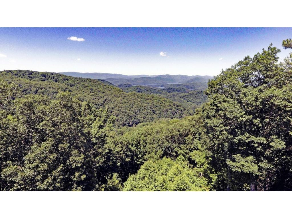 1018 Locust Lane, Unit 43 Butler, TN 37640 - Photo 6 of 10 View Above Trees