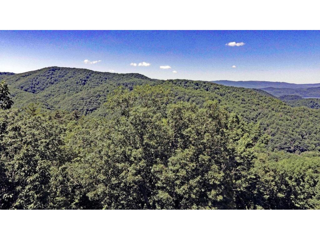 1018 Locust Lane, Unit 43 Butler, TN 37640 - Photo 8 of 10 View Above Trees