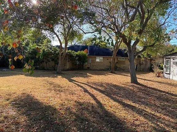 a view of a yard with a large tree