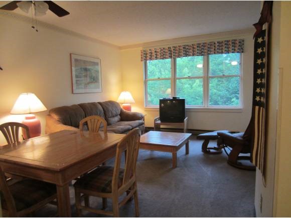 28-410 Packard's Road, Unit 410 Waterville Valley, NH 03215 - Photo 3 of 22