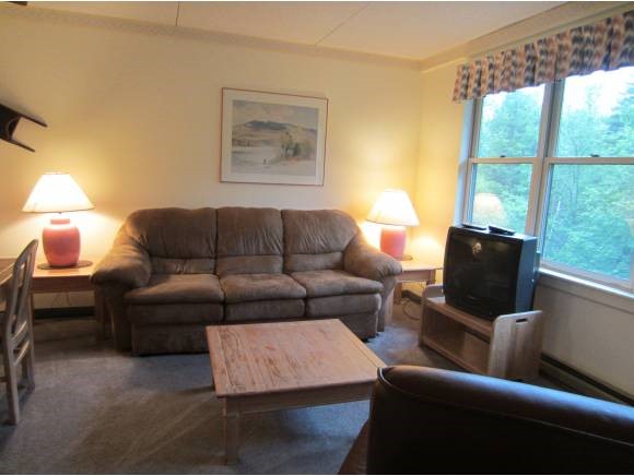 28-410 Packard's Road, Unit 410 Waterville Valley, NH 03215 - Photo 4 of 22