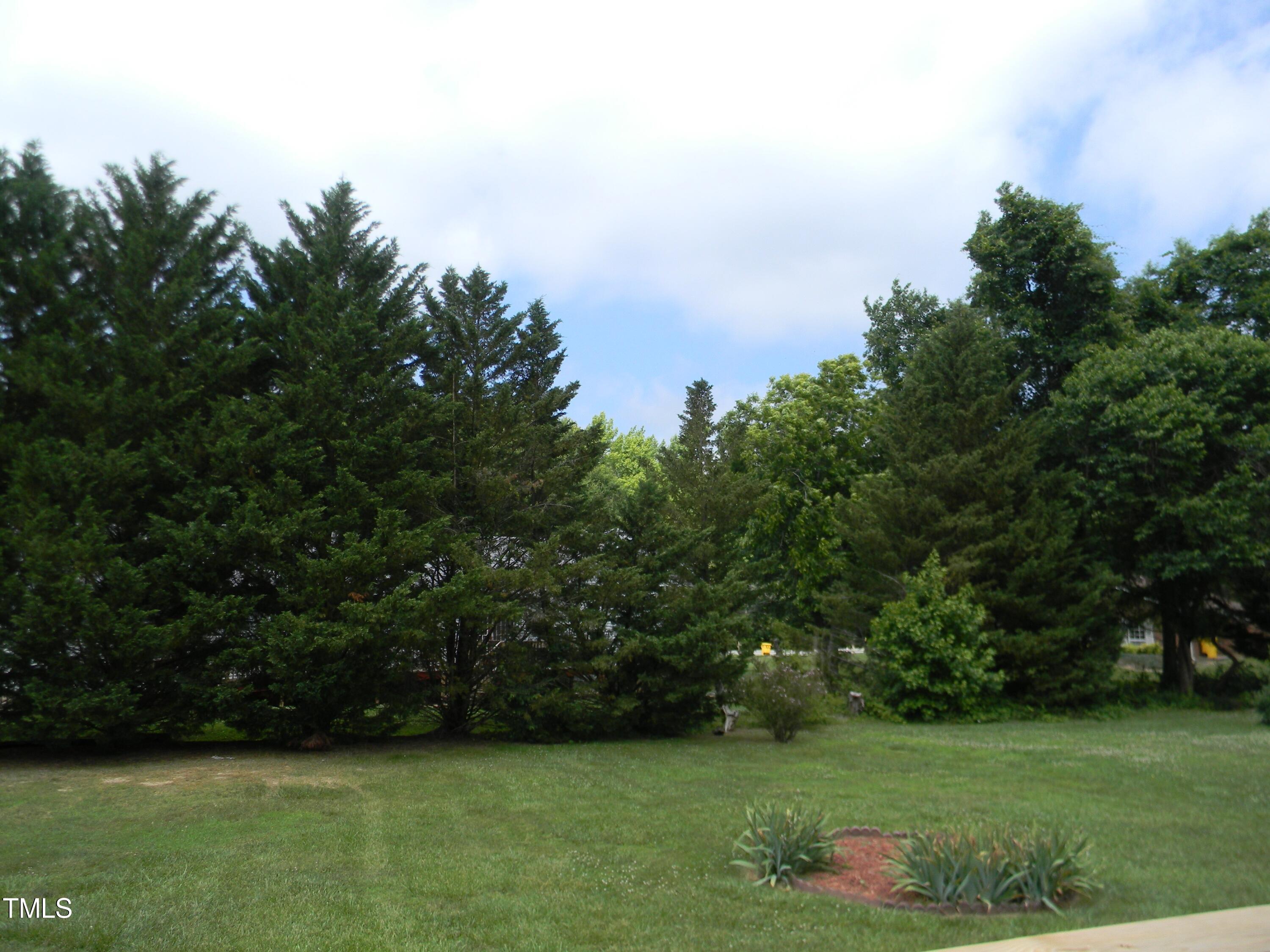 515 Cody Street Roxboro, NC 27573 - Photo 11 of 12 515 Cody Back Yard View