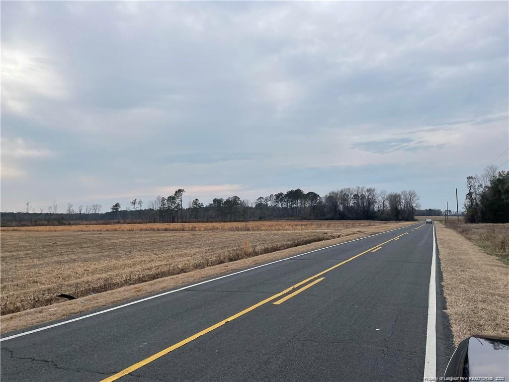 West Stuarts Mill Road West Rowland, NC 28383 - Photo 4 of 4 Photo 4