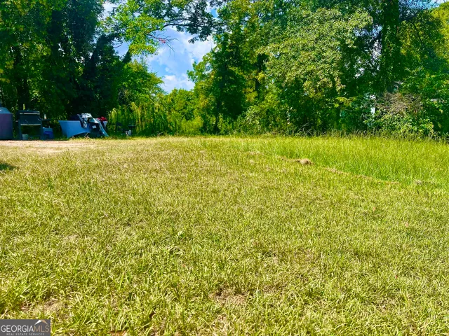 a view of green field with trees