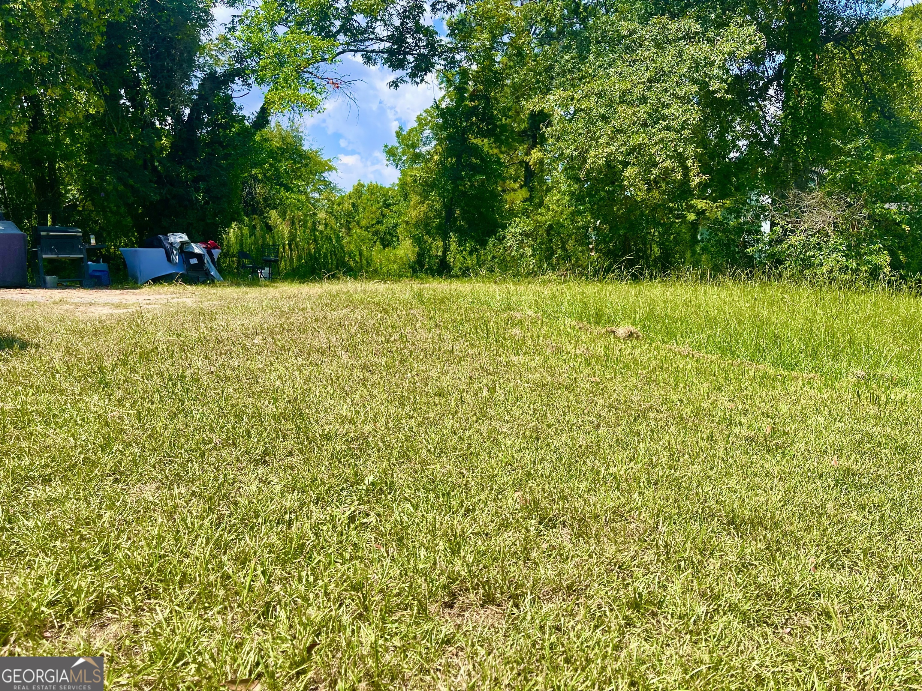 a view of green field with trees