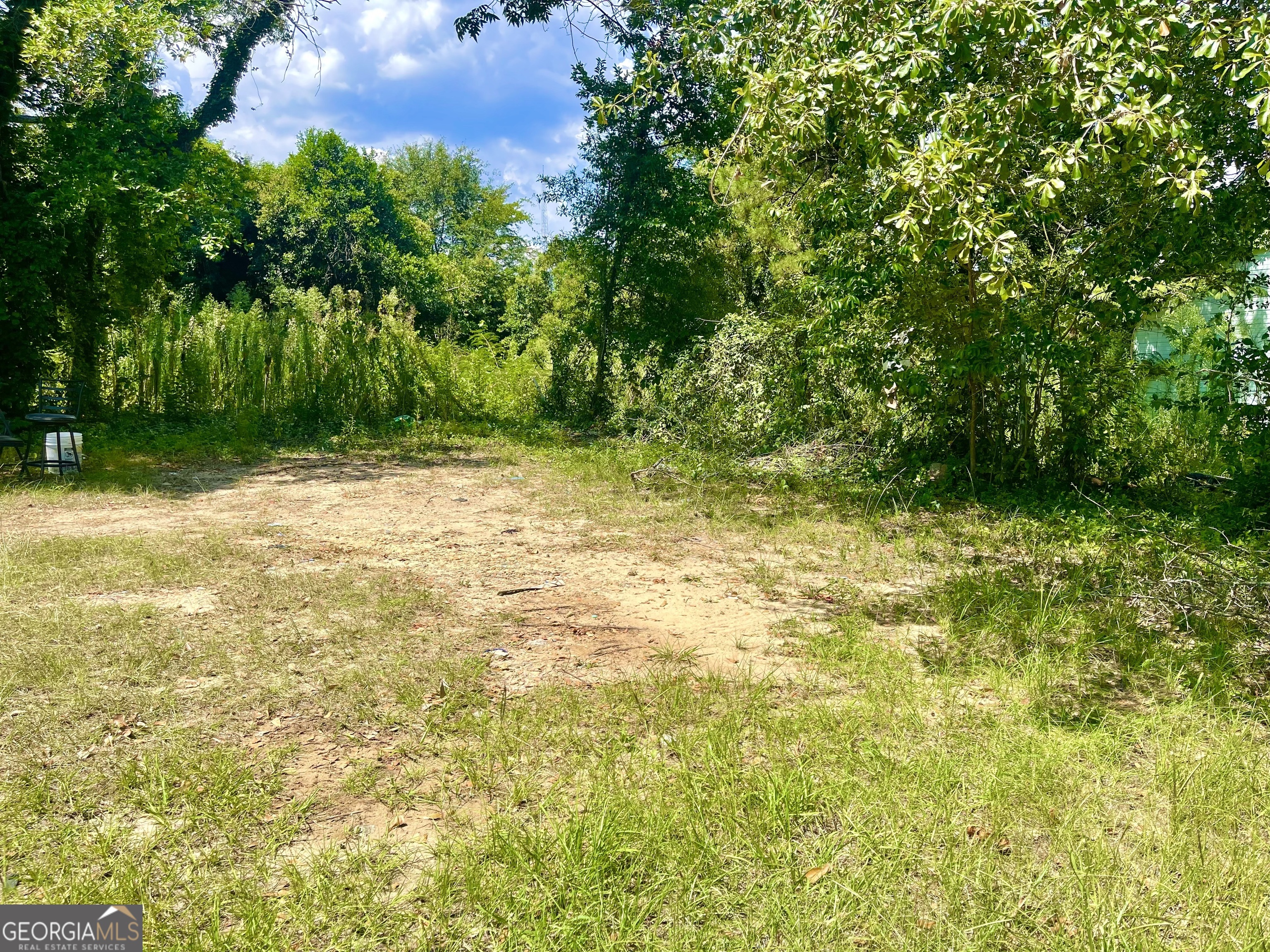 254 Forest Avenue Macon, GA 31201 - Photo 3 of 5 a view of backyard with green space
