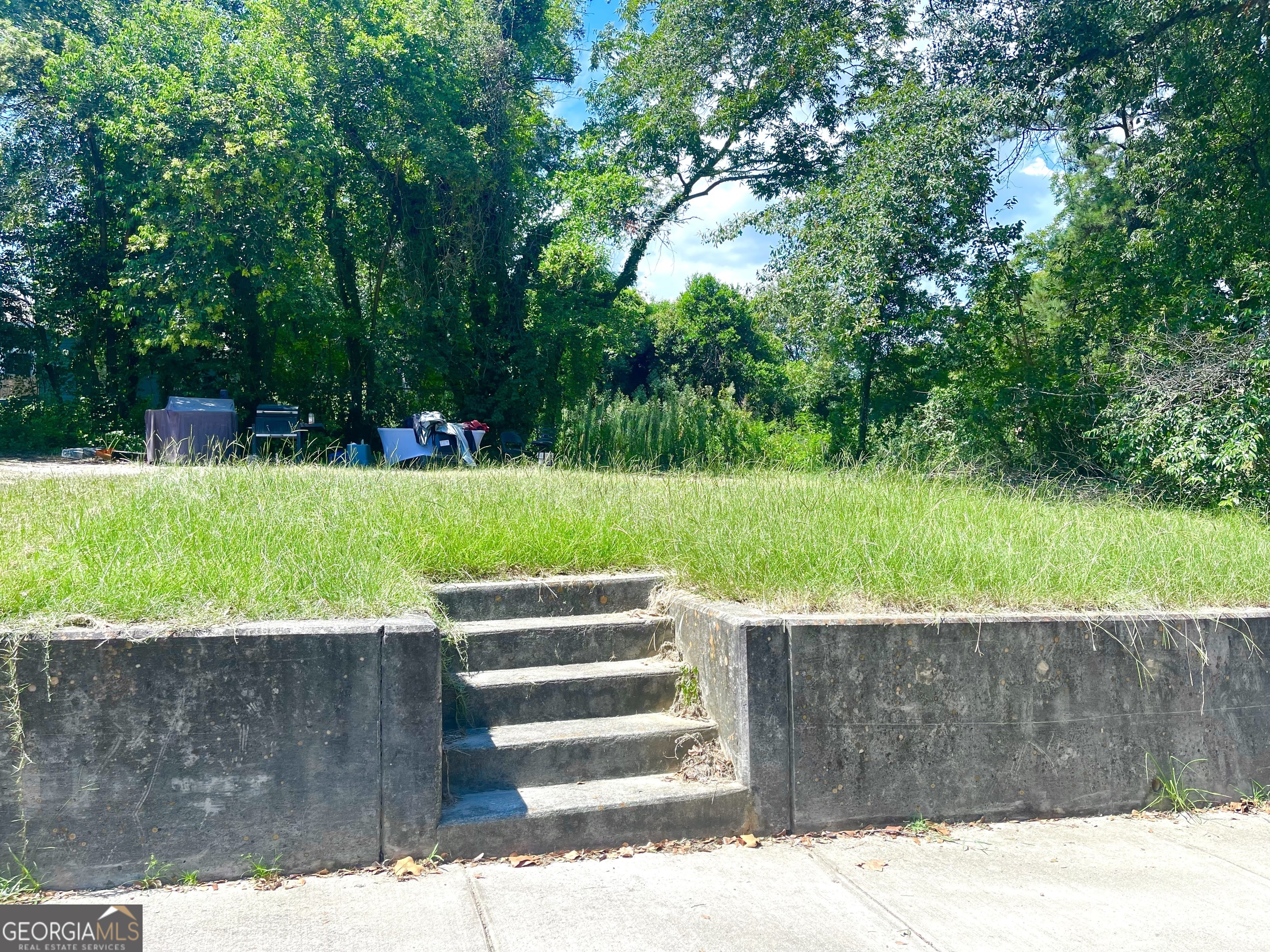 254 Forest Avenue Macon, GA 31201 - Photo 5 of 5 a view of a park with large trees