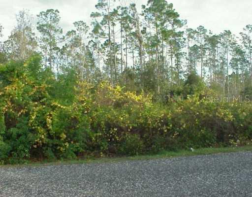 Nova Road St. Cloud, FL 34773 - Photo 1 of 1 a view of a yard