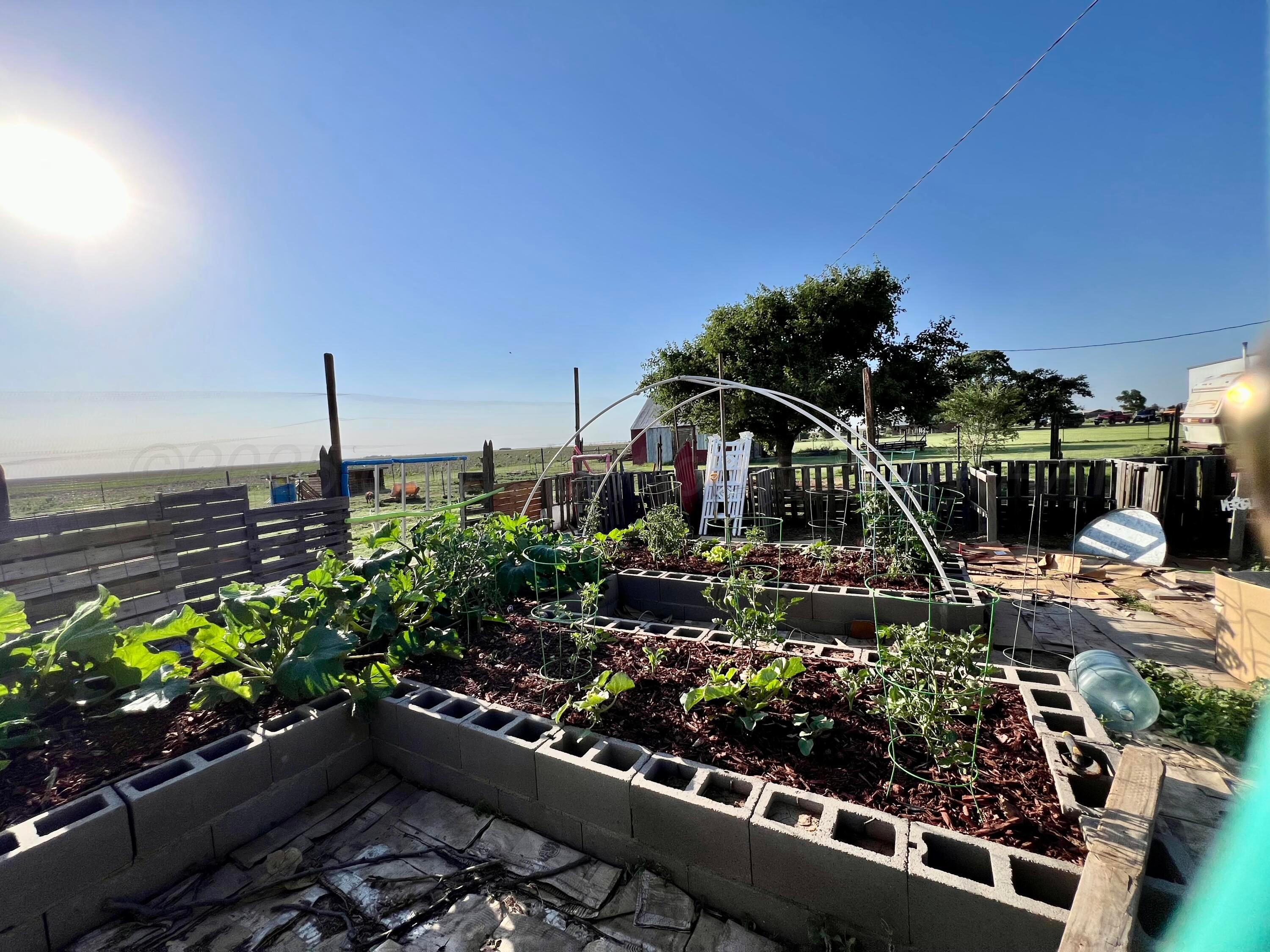 233 Fm 378 Silverton, TX 79257 - Photo 29 of 32 Raised Garden