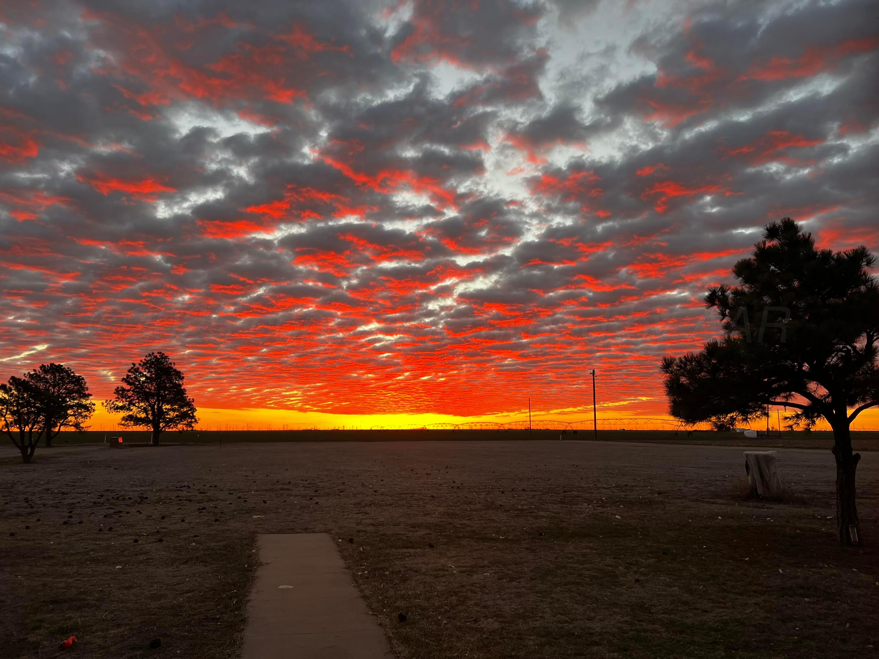 233 Fm 378 Silverton, TX 79257 - Photo 31 of 32 Sunrise