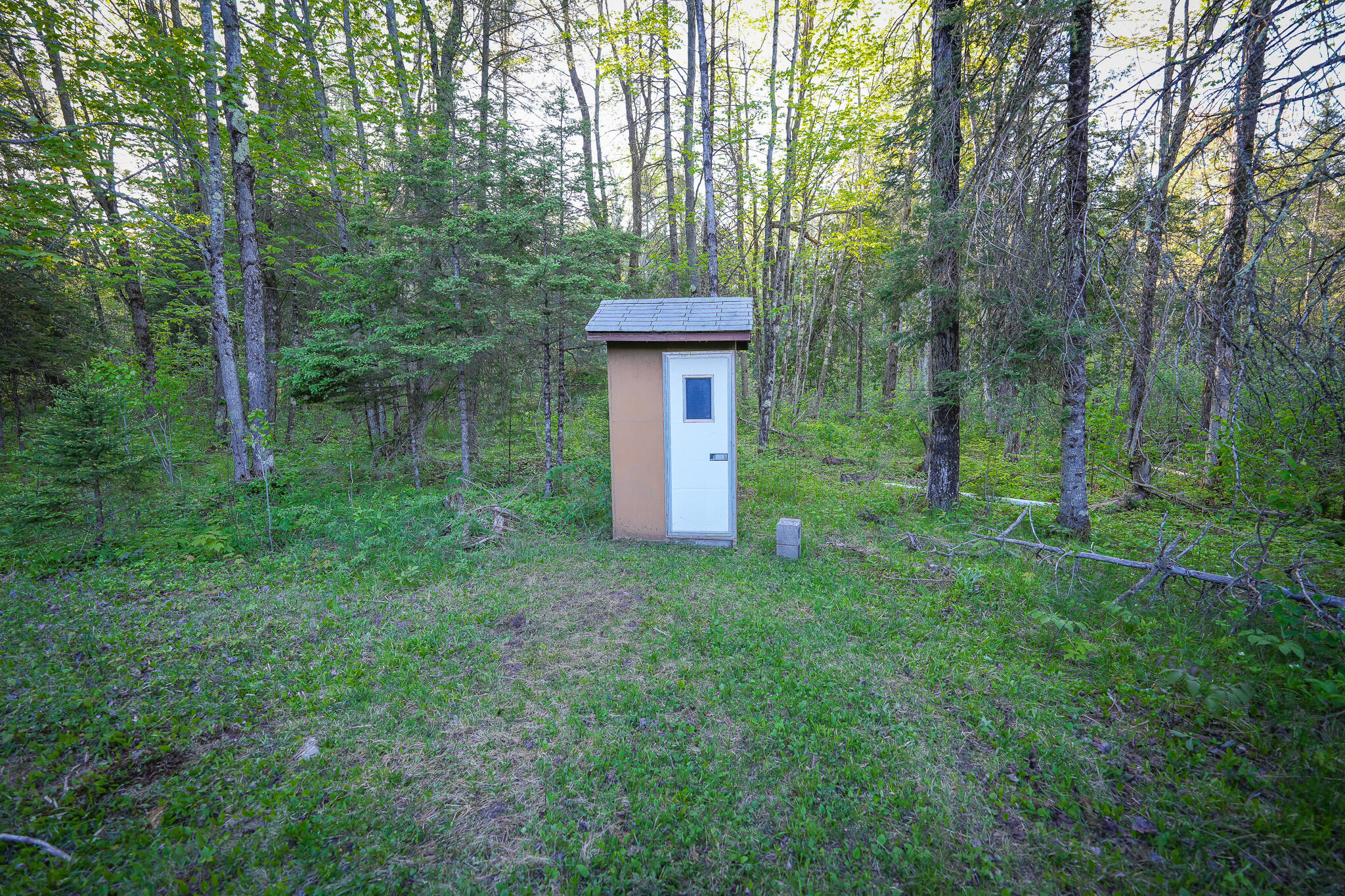 V/l V/l 33rd Road Perkins, MI 49872 - Photo 34 of 70 DSC00062