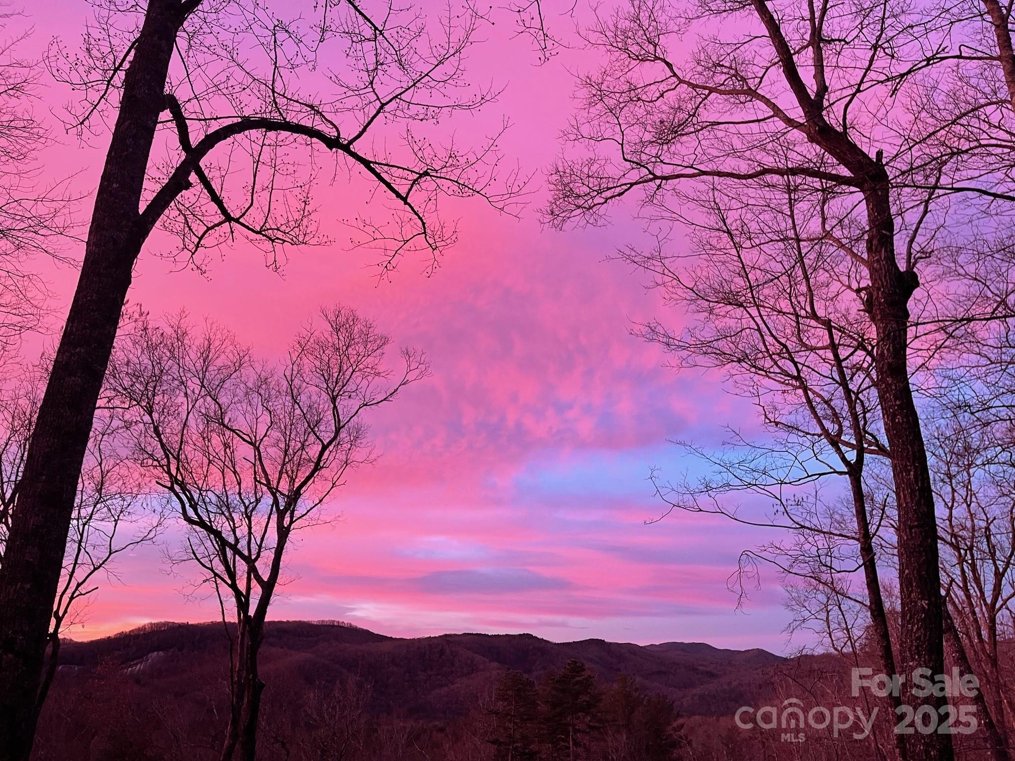 418 Sandy Lane Brevard, NC 28712 - Photo 11 of 45 a view of mountain with sunset in background