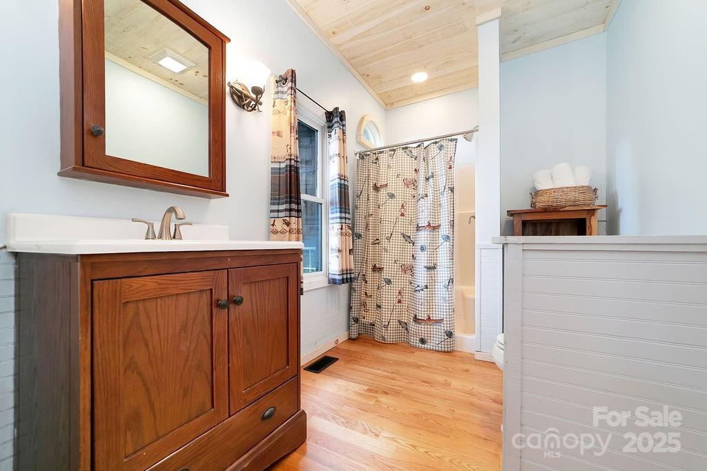 418 Sandy Lane Brevard, NC 28712 - Photo 32 of 45 a bathroom with a sink a mirror and a shower