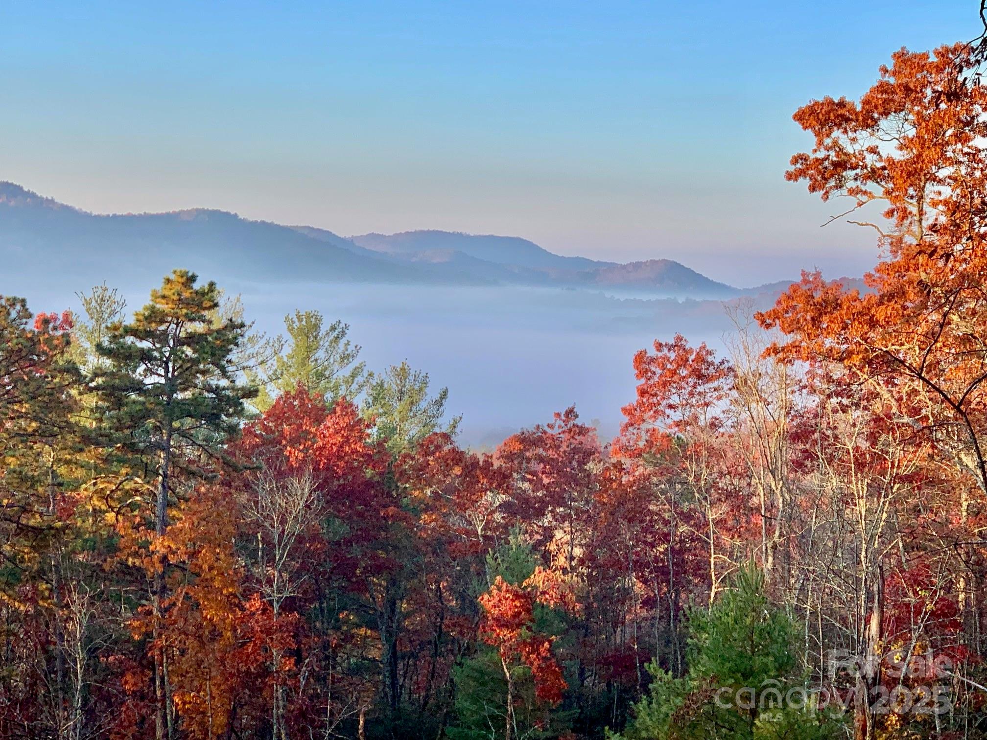 418 Sandy Lane Brevard, NC 28712 - Photo 7 of 45 a view of a lake in middle of the forest