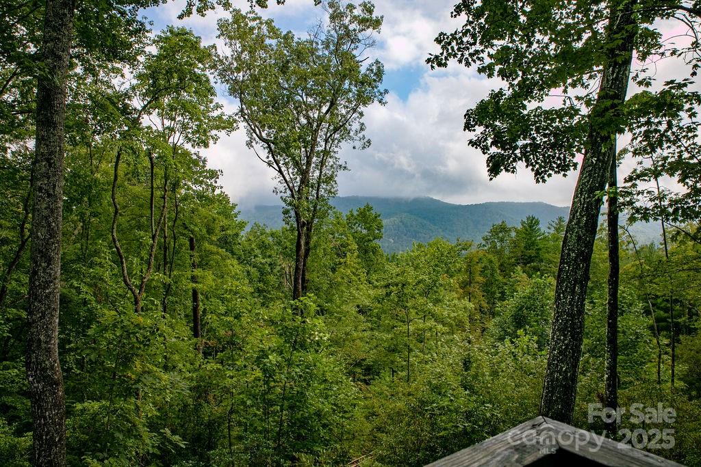 418 Sandy Lane Brevard, NC 28712 - Photo 8 of 45 a view of a tree in a garden