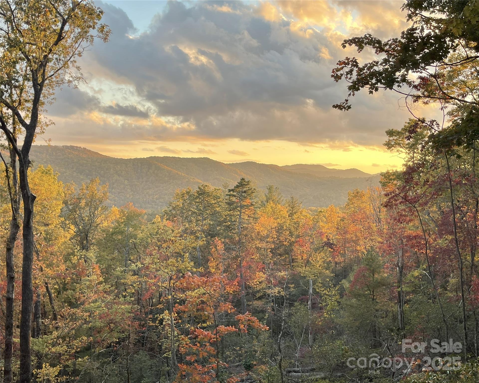418 Sandy Lane Brevard, NC 28712 - Photo 9 of 45 a view of a city
