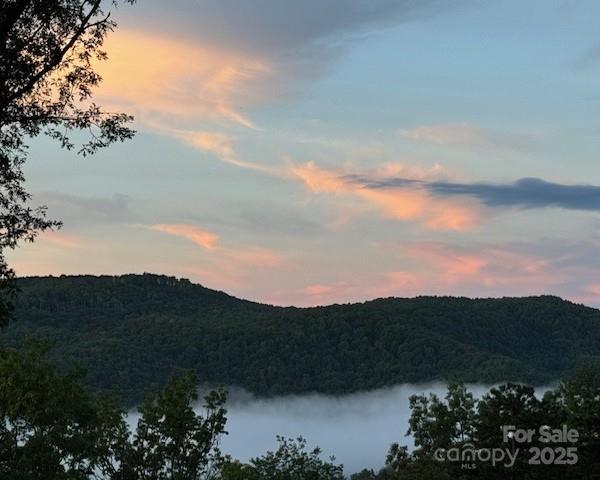 418 Sandy Lane Brevard, NC 28712 - Photo 10 of 45 a view of a top of a house with a mountain in the background
