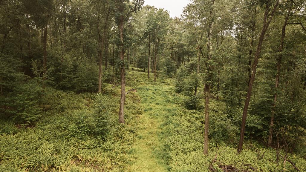 Lot 3-4 Mccutcheon Road Sigel, PA 15860 - Photo 12 of 16 Gallery Image 12