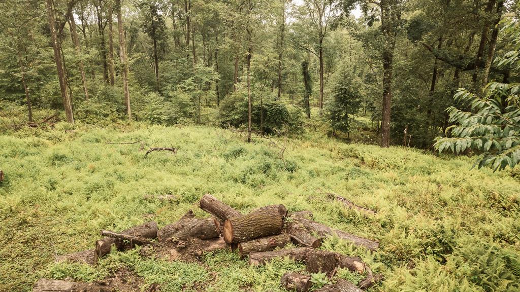 Lot 3-4 Mccutcheon Road Sigel, PA 15860 - Photo 15 of 16 Gallery Image 15