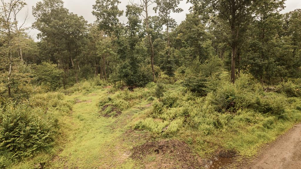 Lot 3-4 Mccutcheon Road Sigel, PA 15860 - Photo 8 of 16 Gallery Image 8