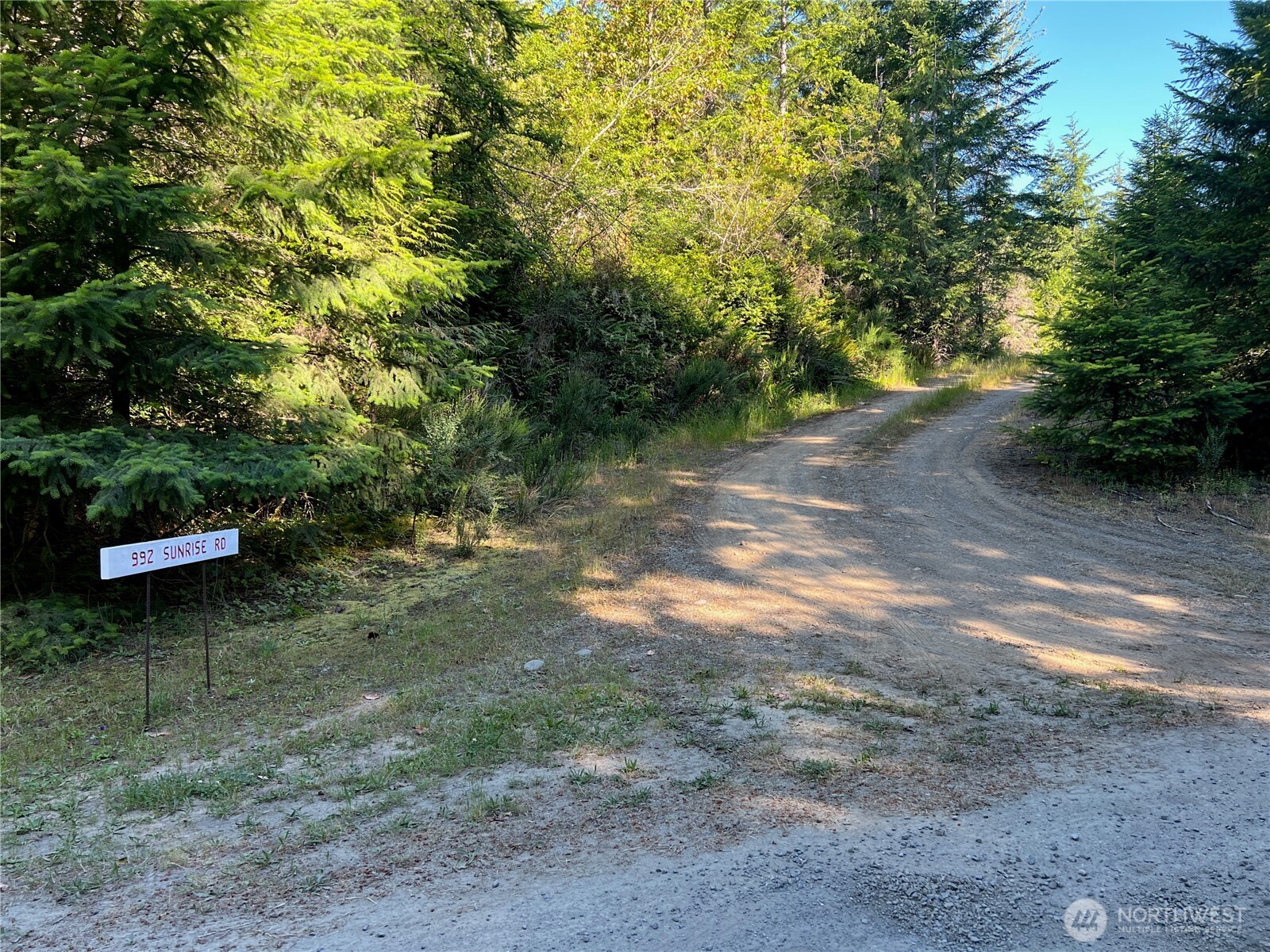 992 Sunrise Road Brinnon, WA 98320 - Photo 4 of 15