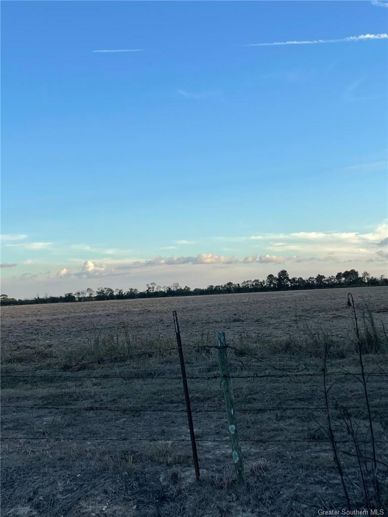 0 Nielson Road Kinder, LA 70648 - Photo 3 of 3