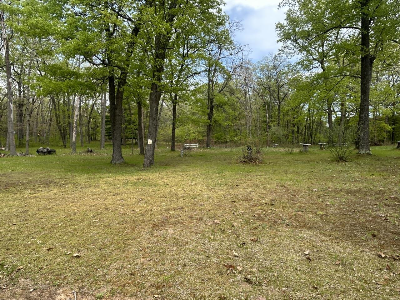 6320 Elk Lake Road Gladwin, MI 48624 - Photo 16 of 19