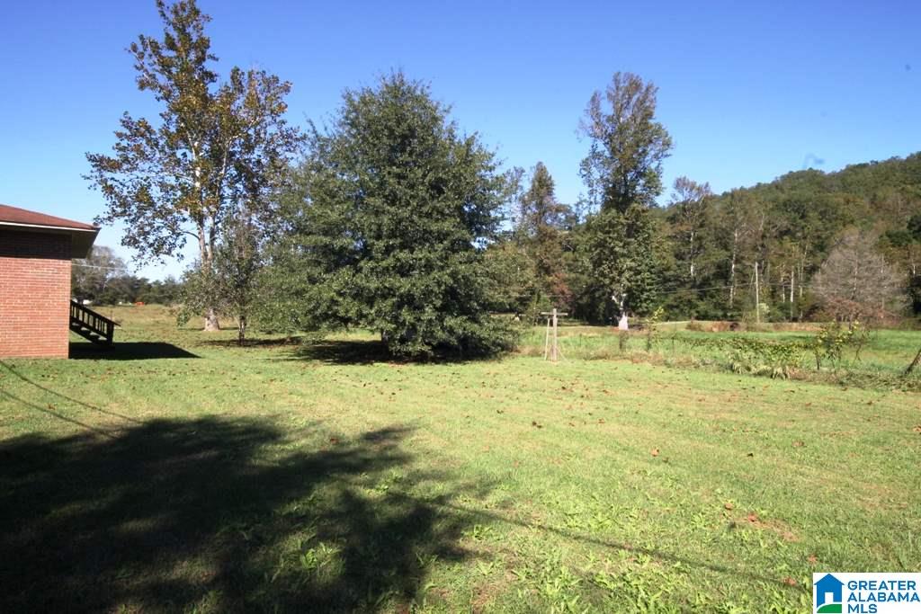 1560 White Plains Road Anniston, AL 36207 - Photo 24 of 38
