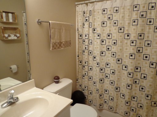 7701 Cotton Patch Road Corryton, TN 37721 - Photo 18 of 22 Additional Photo