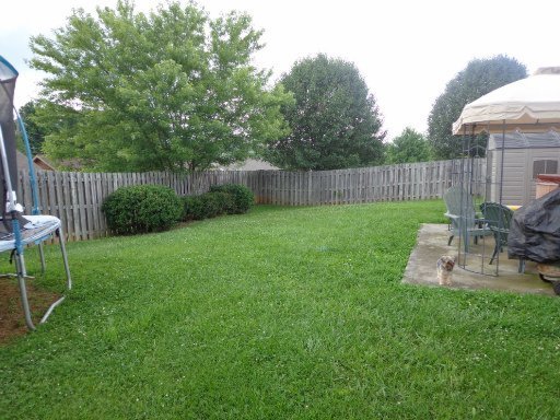 7701 Cotton Patch Road Corryton, TN 37721 - Photo 20 of 22 Additional Photo