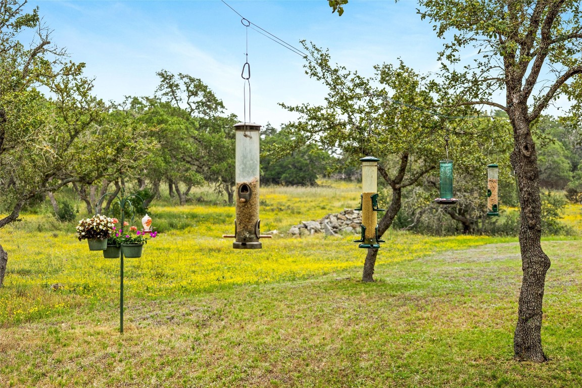 426 Preiss Ranch Road Blanco, TX 78606 - Photo 35 of 40 a view of a yard with an tree