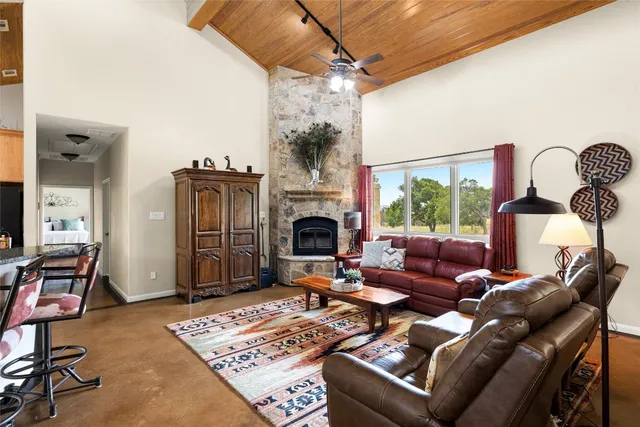 a living room with furniture a fireplace and a potted plant