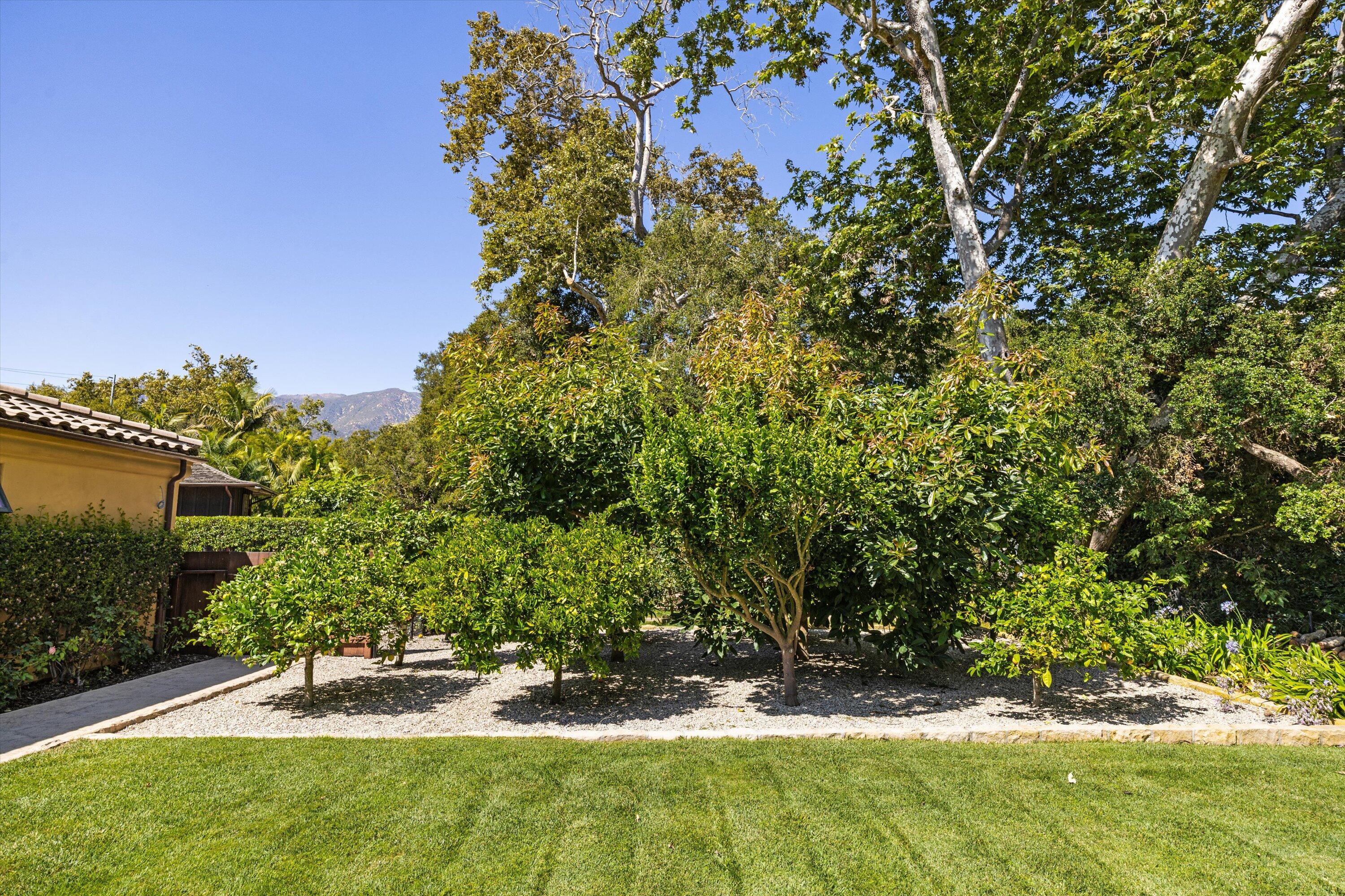 342 Sheffield Drive Montecito, CA 93108 - Photo 34 of 46 a view of yard