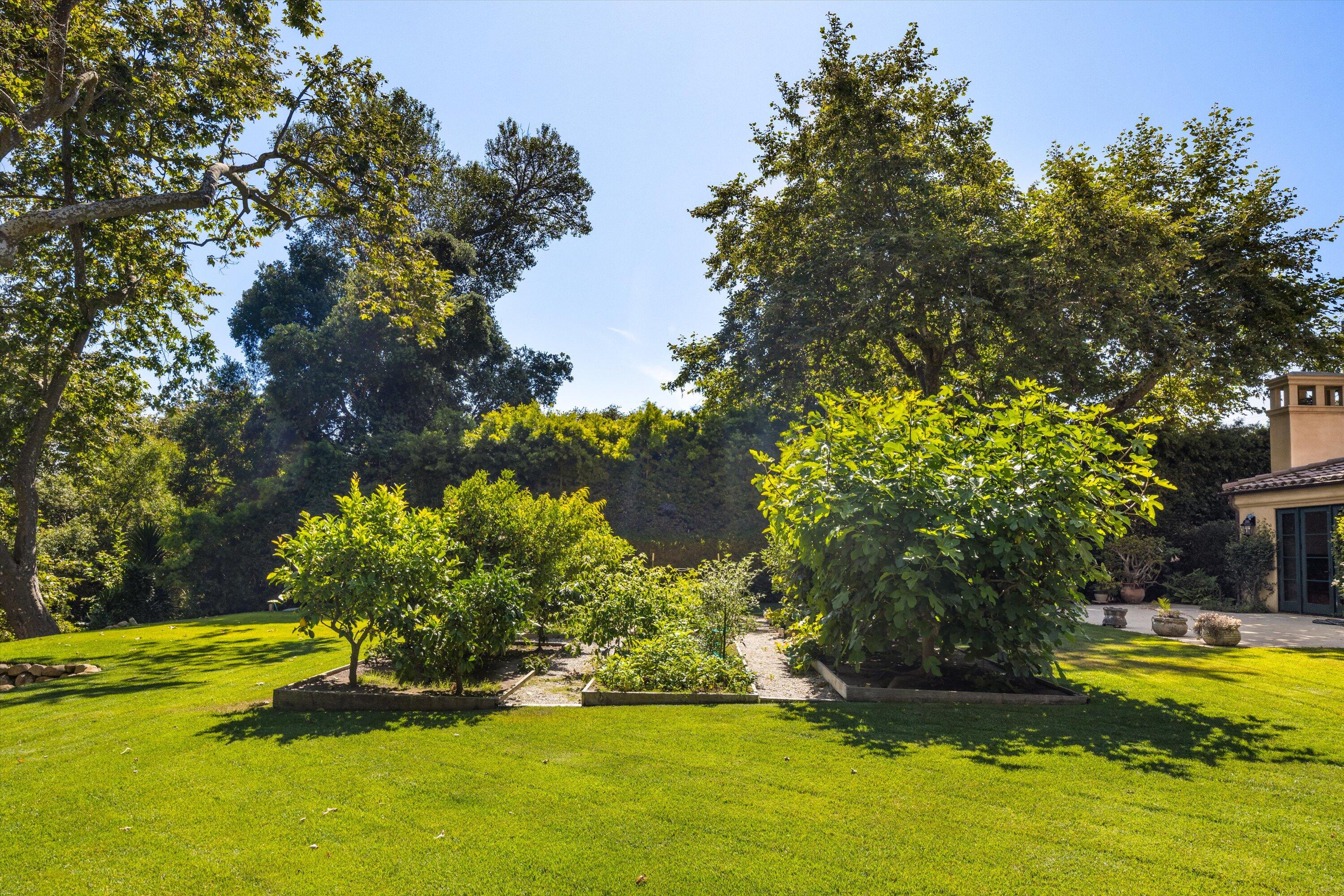 342 Sheffield Drive Montecito, CA 93108 - Photo 35 of 46 a view of a garden