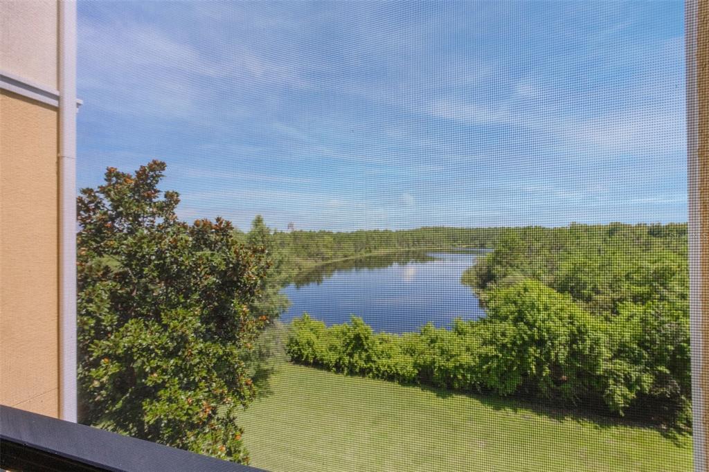 8774 Worldquest Boulevard, Unit 7404 Orlando, FL 32821 - Photo 47 of 55 a view of a lake