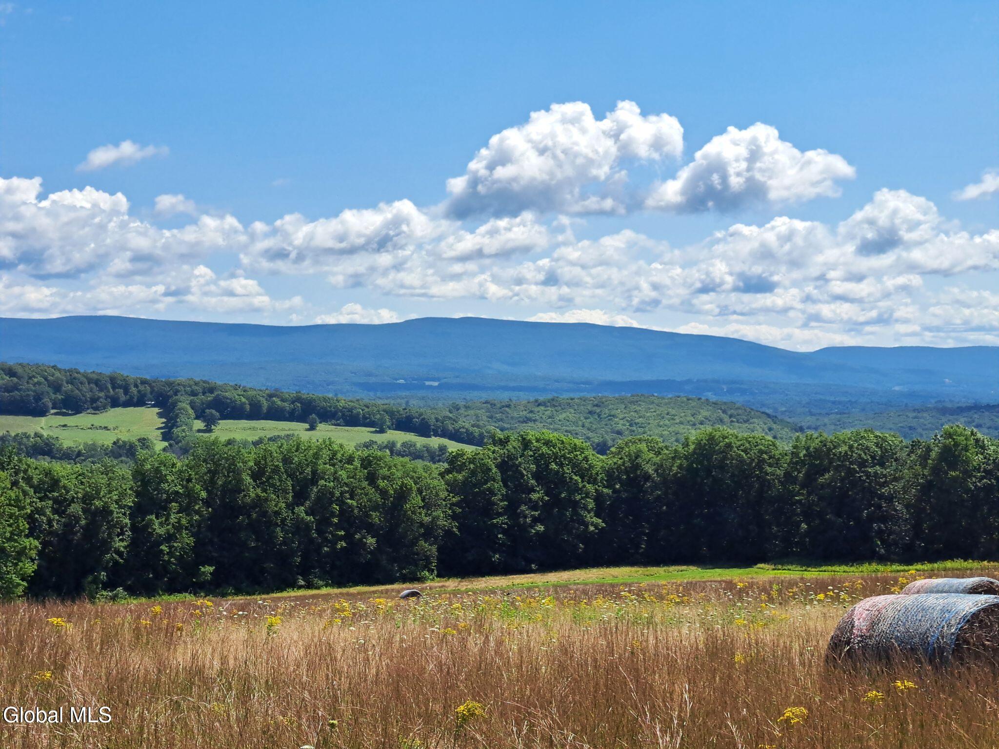 9.1 State Line Road White Creek, NY 12057 - Photo 23 of 72 24 Another Perspective of the Green Mtns
