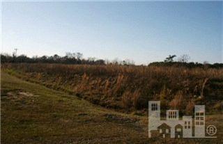 0 Rosemary Road Rose Hill, NC 28458 - Photo 1 of 1 Primary Photo