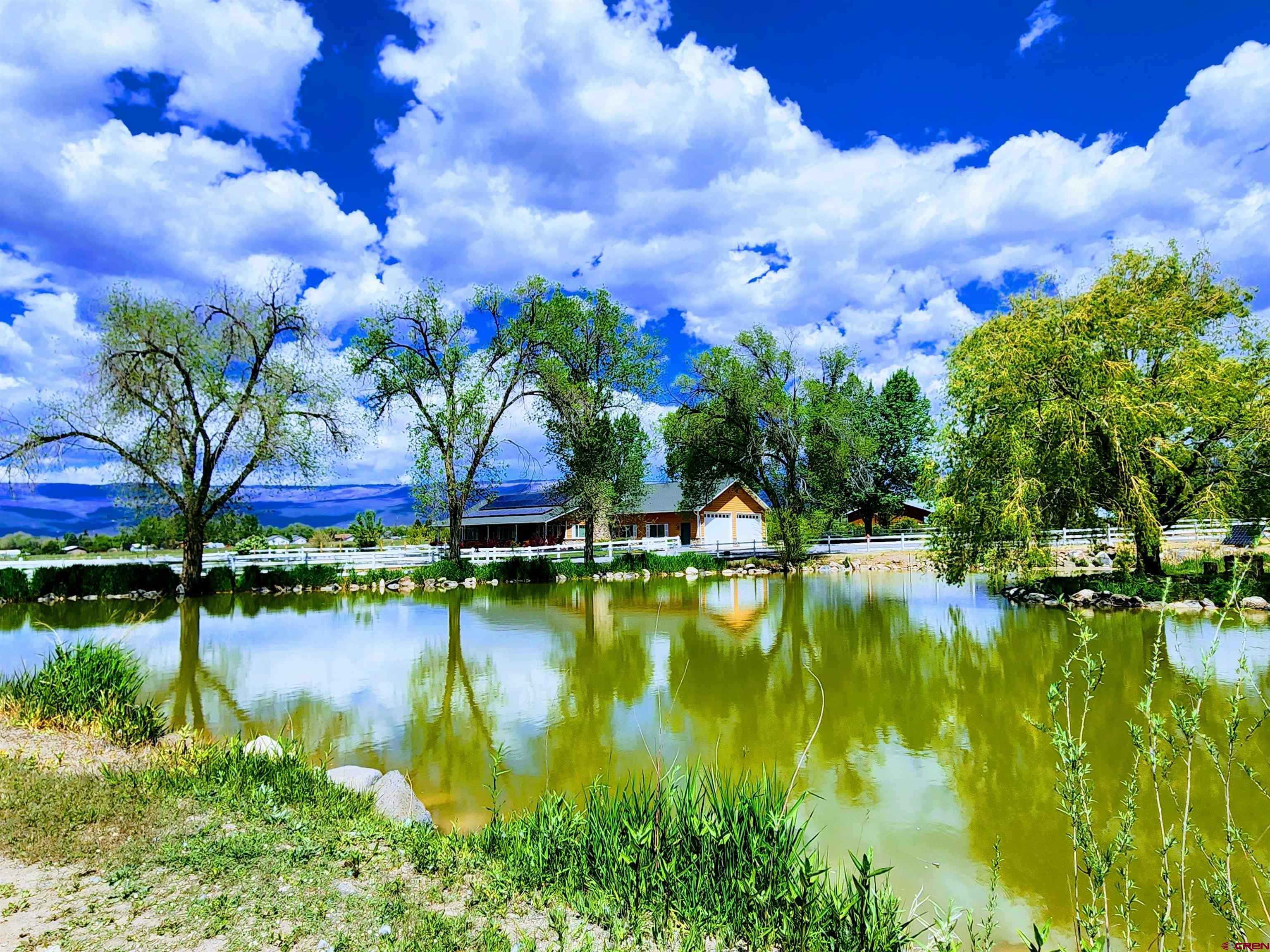 1036 East Main Street Cedaredge, CO 81413 - Photo 3 of 36 a view of swimming pool with outdoor seating and yard in back