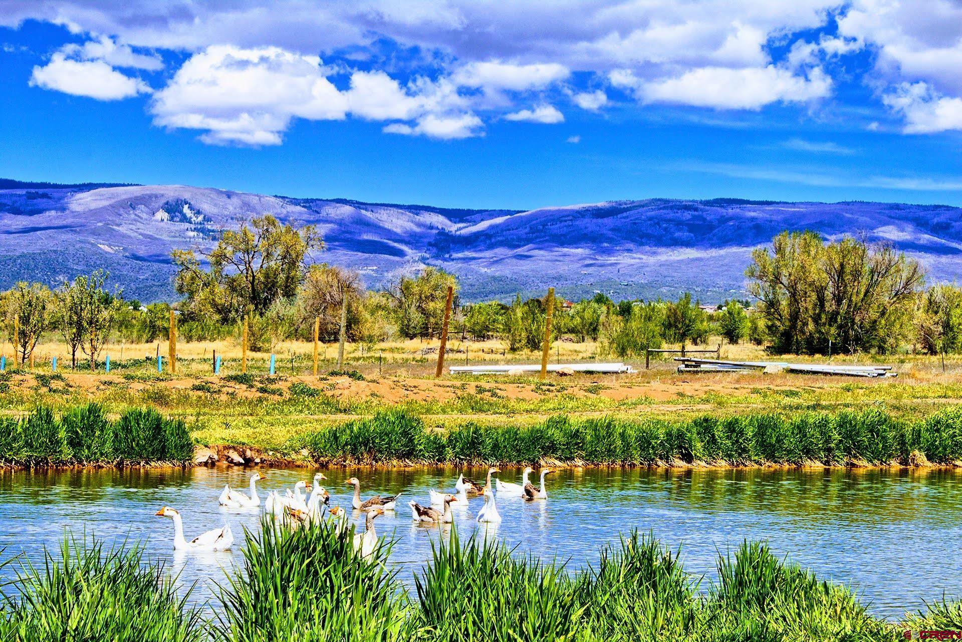 1036 East Main Street Cedaredge, CO 81413 - Photo 34 of 36 a view of an outdoor space and mountain view