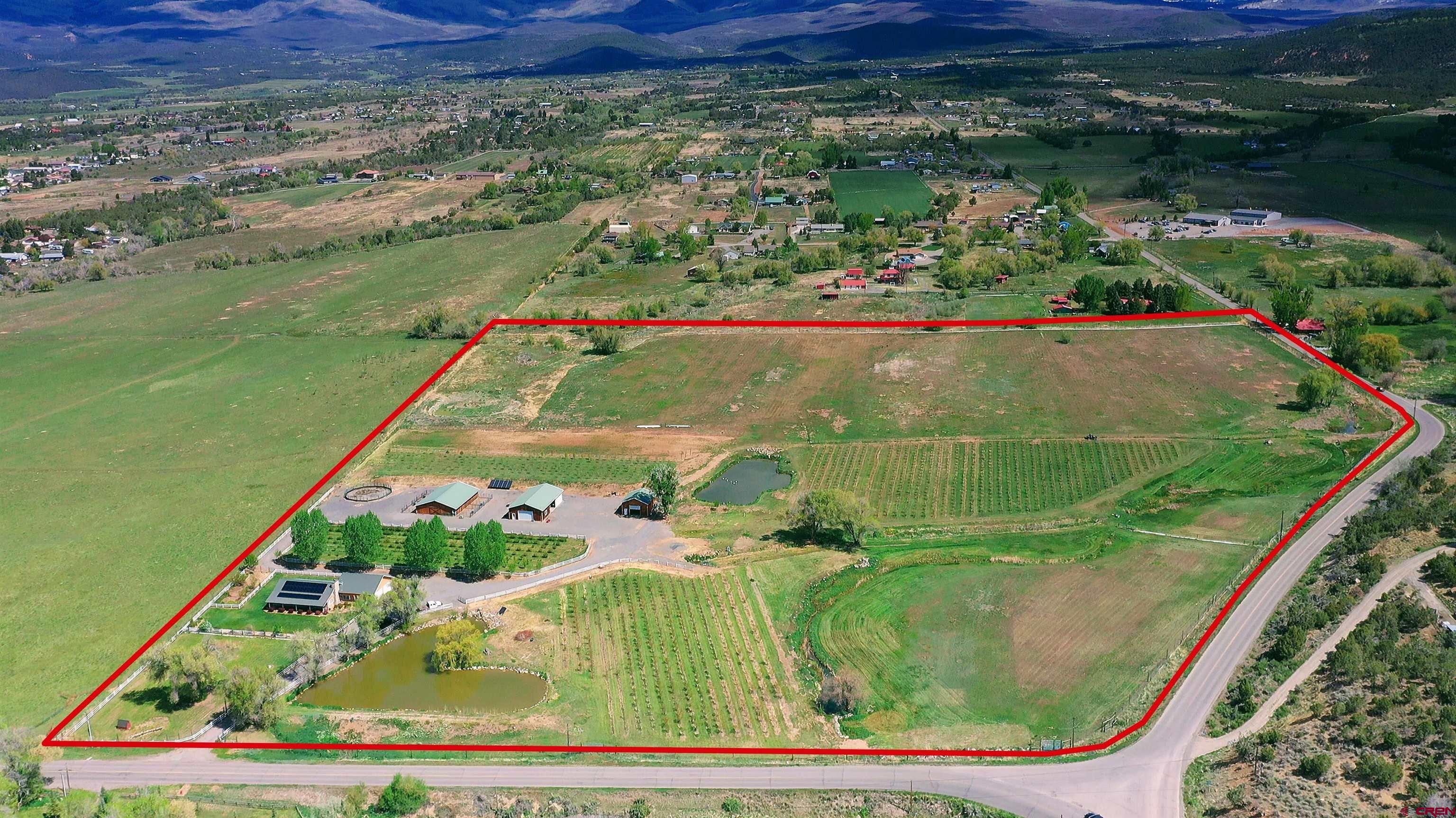 1036 East Main Street Cedaredge, CO 81413 - Photo 5 of 36