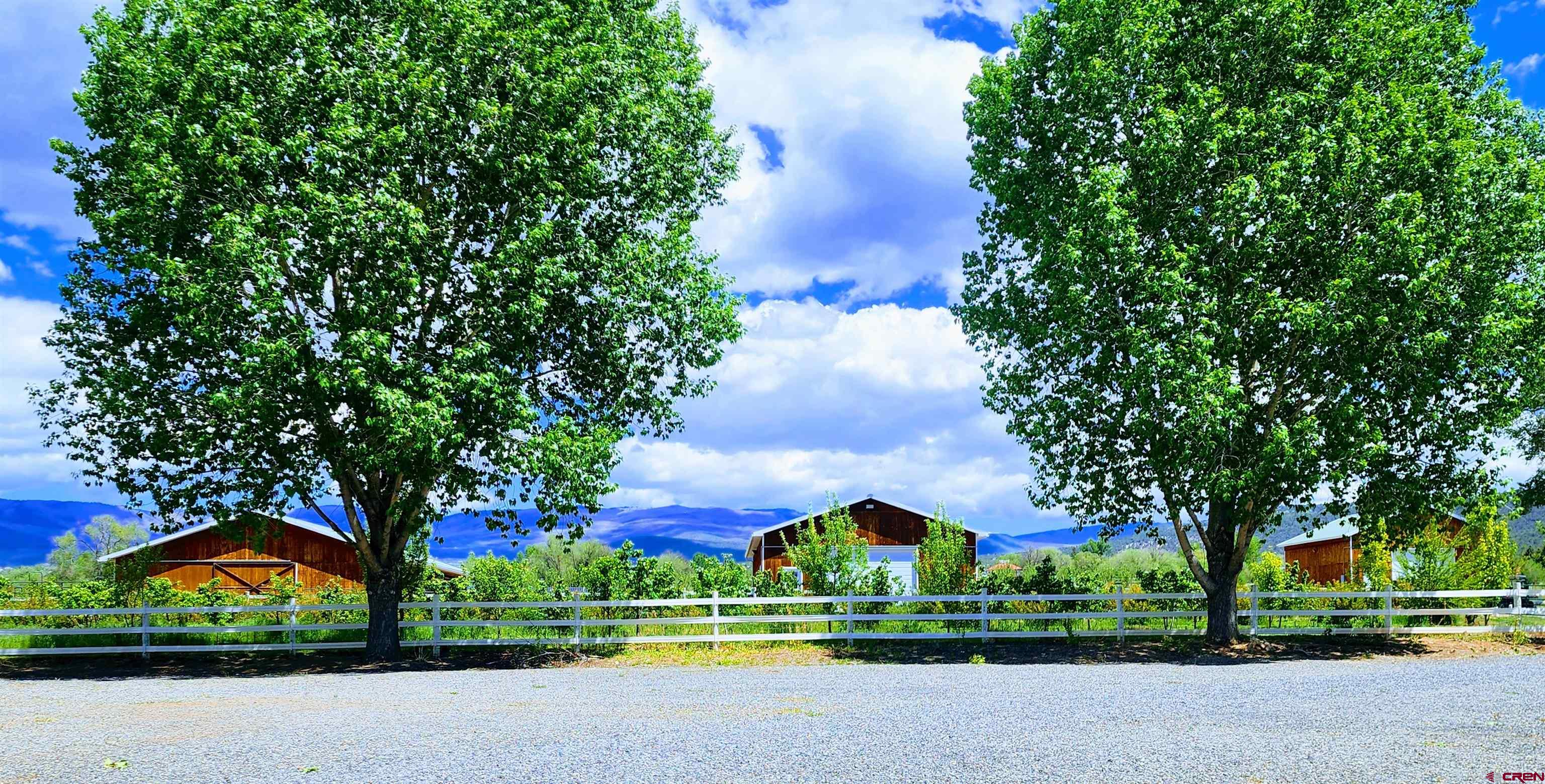 1036 East Main Street Cedaredge, CO 81413 - Photo 7 of 36 a view of street with houses and trees