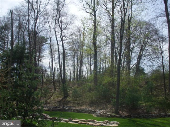 64 2nd Mountain Road Pine Grove, PA 17963 - Photo 18 of 23 Gallery Image 18