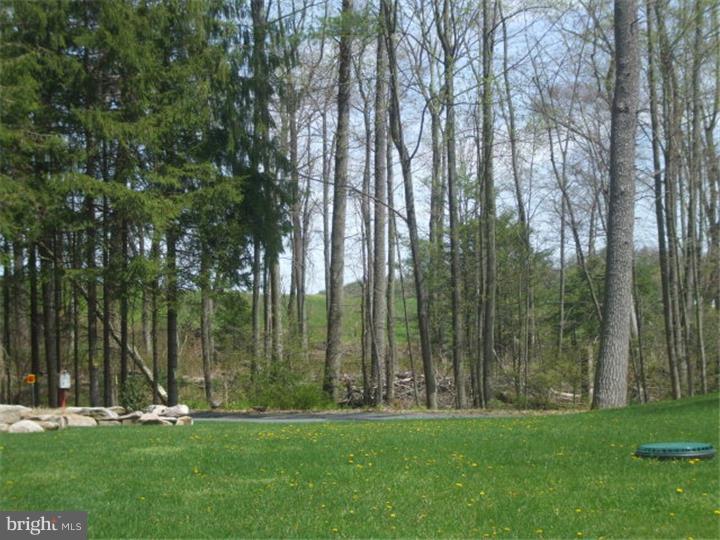 64 2nd Mountain Road Pine Grove, PA 17963 - Photo 23 of 23 Gallery Image 23
