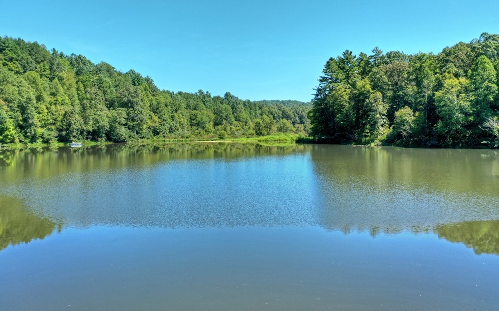 4061 Whitepath Road Ellijay, GA 30540 - Photo 1 of 1 an ocean view with a lake view
