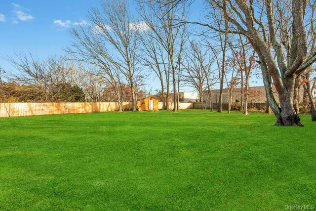 a view of green field