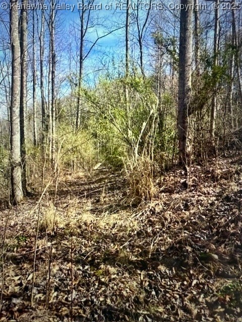 0 Utah Hollow Road Charleston, WV 25312 - Photo 9 of 39 Gallery Image 9