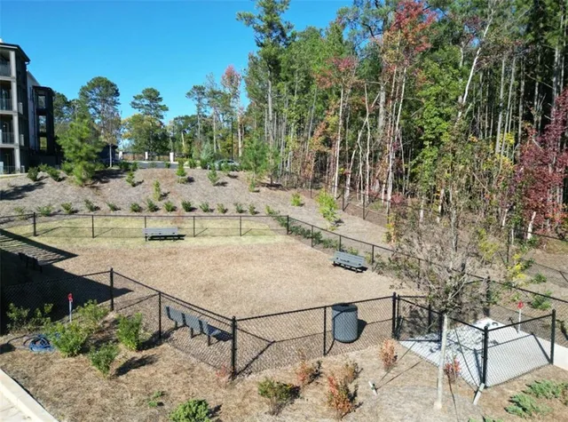 a view of a backyard with plants and tree
